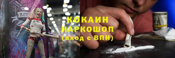 ПСИЛОЦИБИНОВЫЕ ГРИБЫ Арсеньев