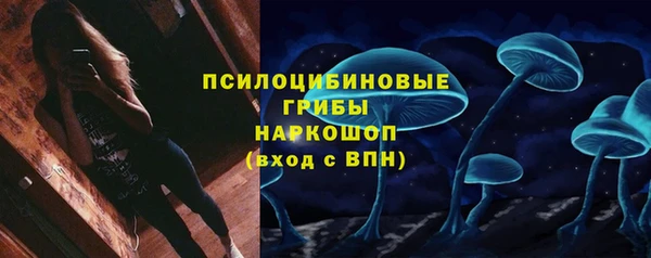 прущая мука Пересвет
