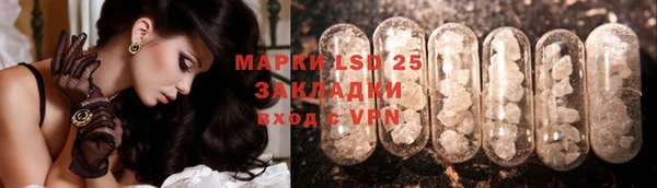 ПСИЛОЦИБИНОВЫЕ ГРИБЫ Арсеньев