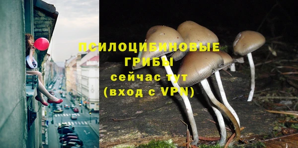 эйфоретик Аркадак
